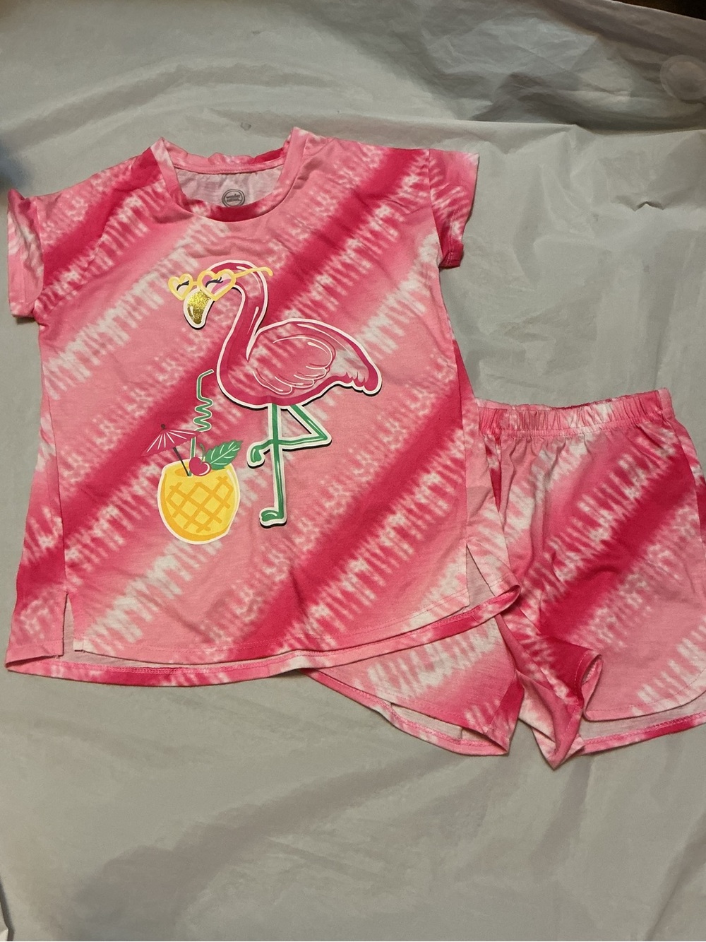 Wonder Nation pajama set girl’s size lg 10/12